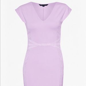 Lavender French Connection Dress w Lace Paneling
